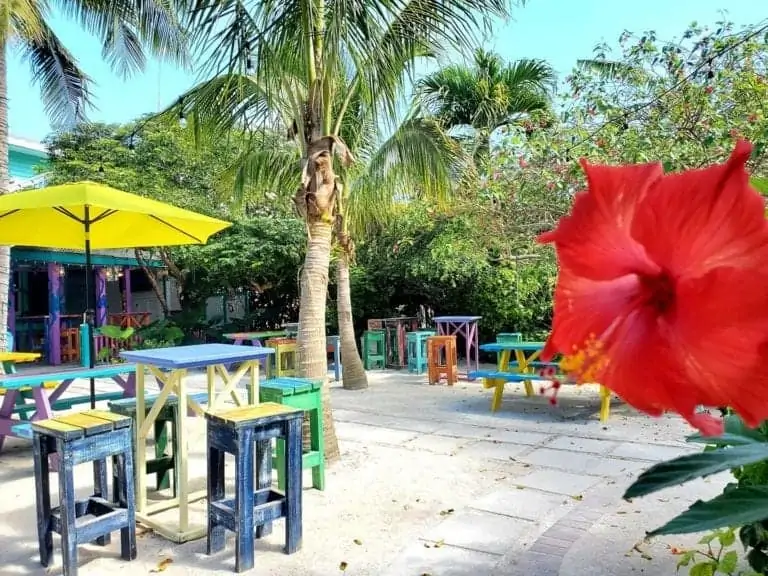 florida keys brewing co