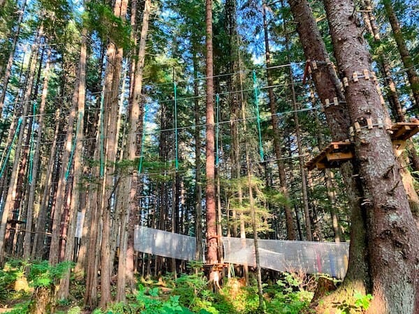 adventure park icy strait point