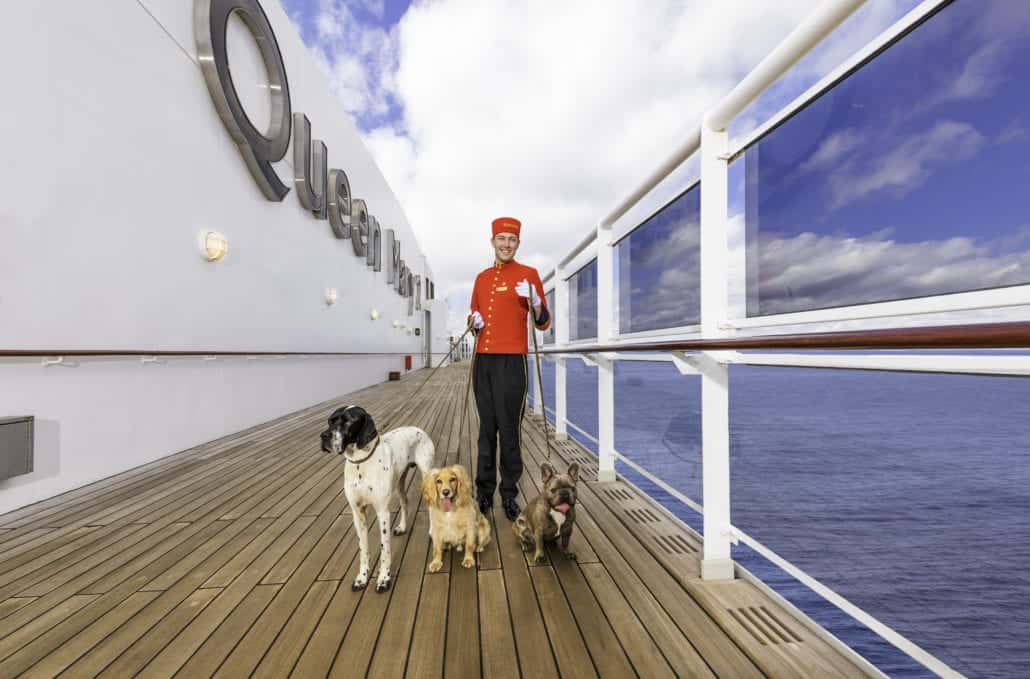 cunard kennels dogs