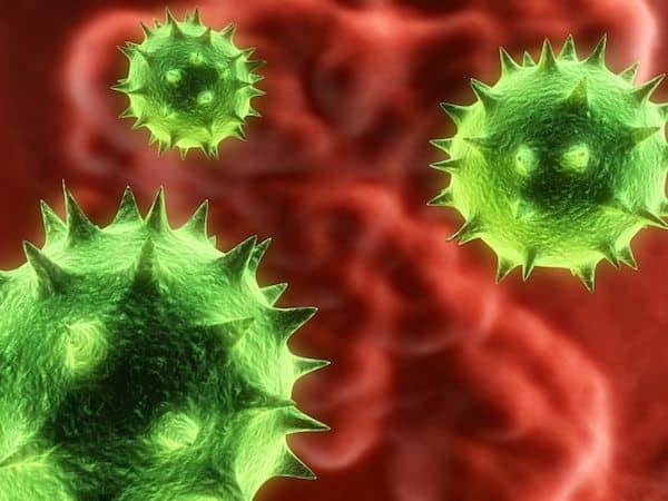 norovirus cells closeup