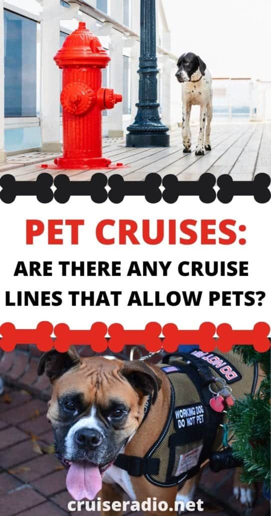 pet cruises lines that allow pets