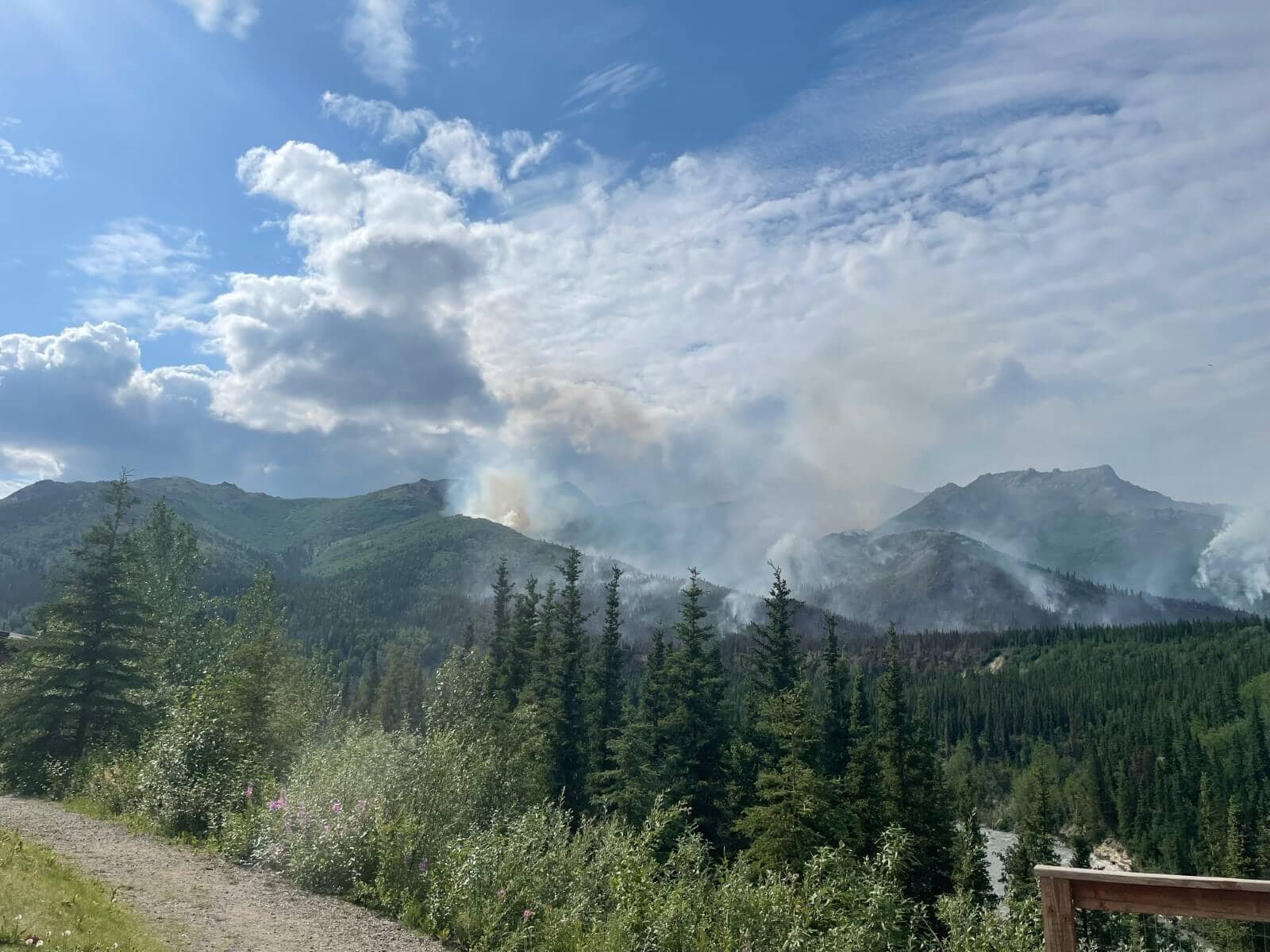A scenic landscape shows mountains with visible smoke and clouds under a blue sky, indicating a possible wildfire within a dense green forest, while Denali Shore Excursions have been canceled due to the situation.